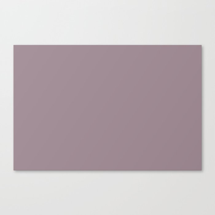 Pastel Purple Solid Color - Patternless Pairs Pantone 2022 Popular Color Elderberry 17-1605 Canvas Print