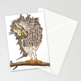 Curious Owl Stationery Cards