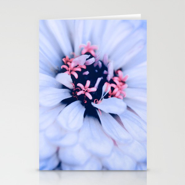 Zinnia Flower Macro Photography In Lilac Stationery Cards
