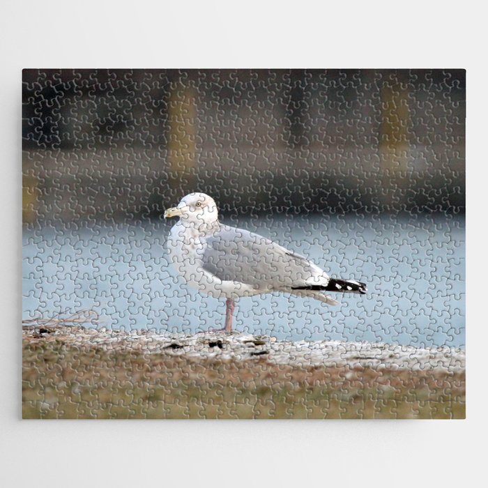 Seagull on the River Shore Jigsaw Puzzle