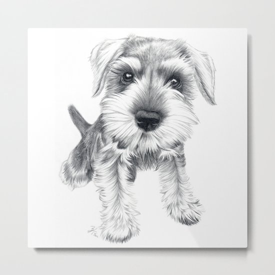 Schnozz the Schnauzer Metal Print