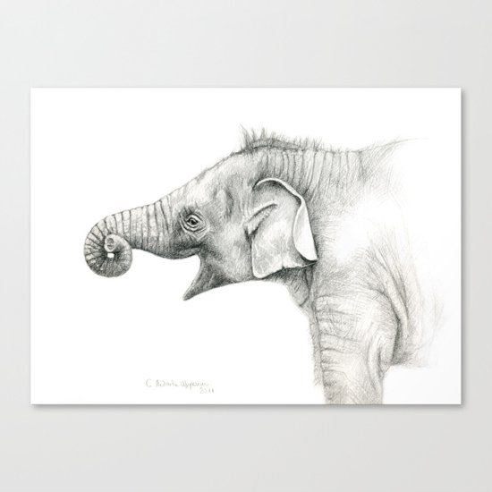 Baby Elephant G005 Canvas Print