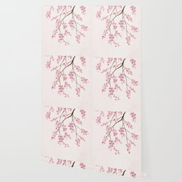 Can You Feel Spring? - Cherry Blossom  Wallpaper