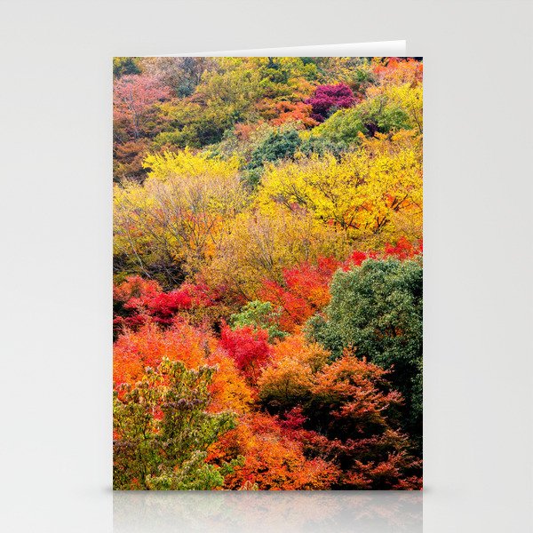 Autumn Forest Stationery Cards