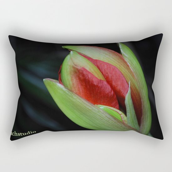 Open Up Beautiful Rectangular Pillow