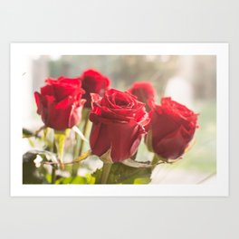 Bouquet of red roses Art Print