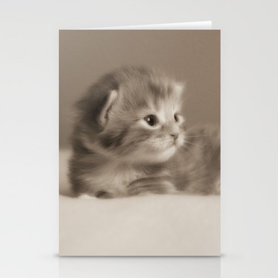 cat Stationery Cards