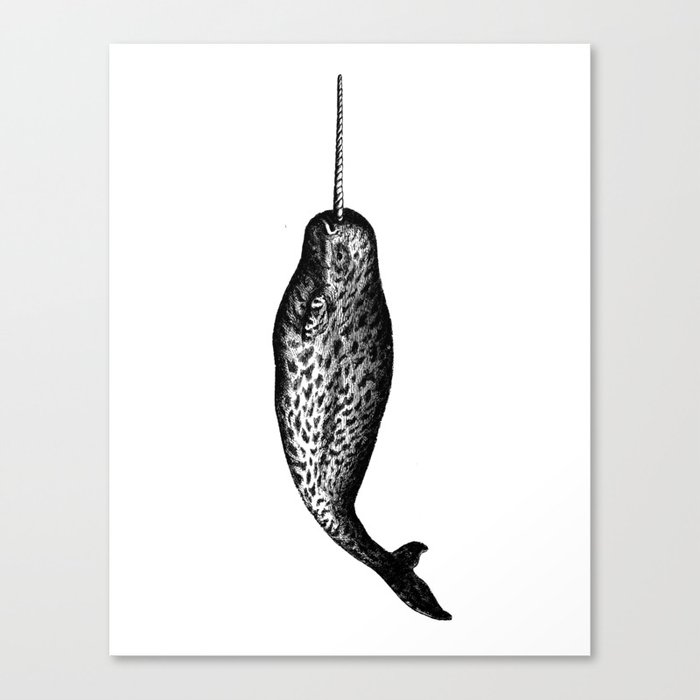 Vintage Narwhal Canvas Print