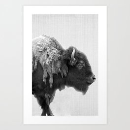 american buffalo Kunstdrucke | Black and White, Nature, Photo, Animal 