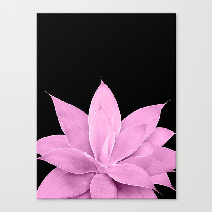 Pink Agave on Black #1 #tropical #decor #art #society6 Canvas Print