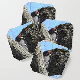 Woodpecker, Woodland Charmer Coaster