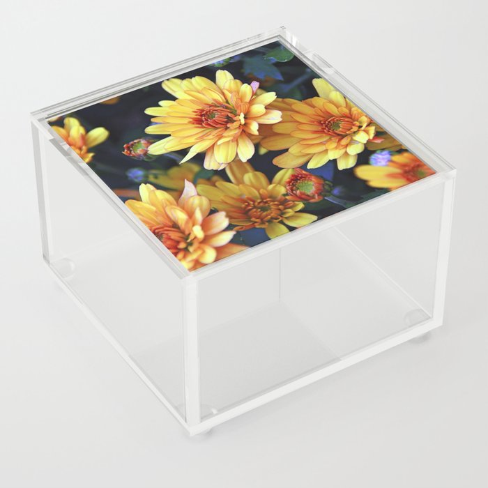 Orange Chrysanthemums Acrylic Box