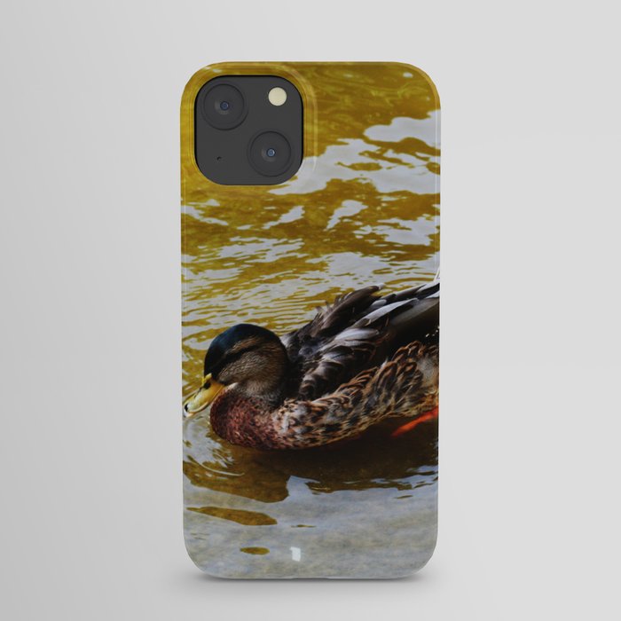 Duck swimming in golden water iPhone Case