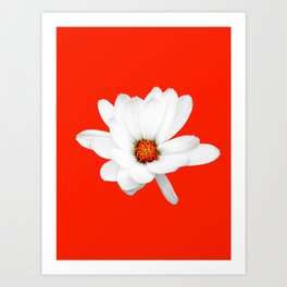 Digital art floral design Art Print