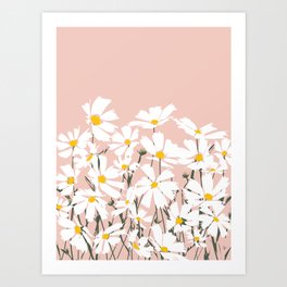 Les Fleurs de Paris - White Cosmos Flowers on Pink Art Print