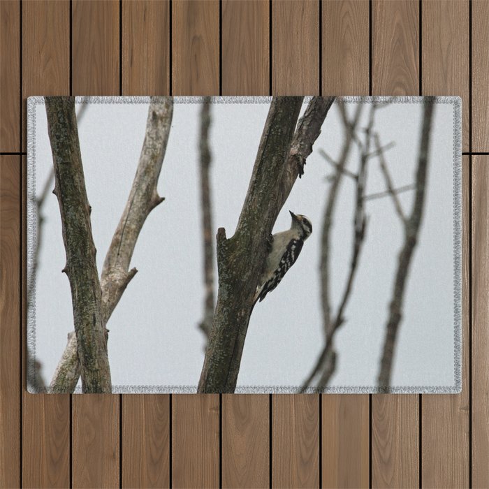 Woodpecker in a Tree Outdoor Rug