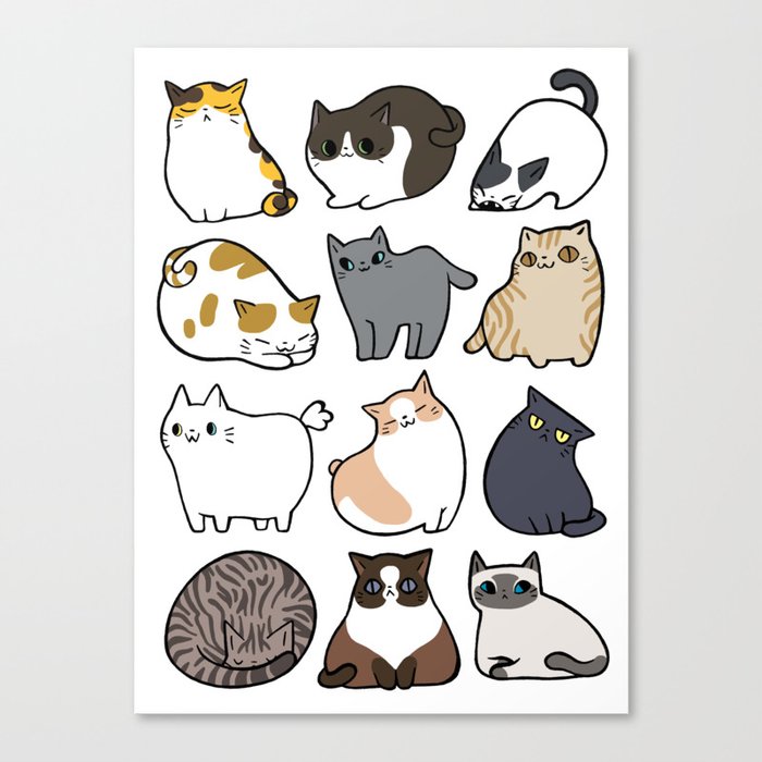 Cats Cats Cats Canvas Print