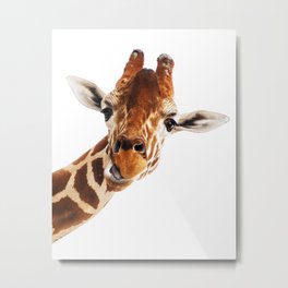 Giraffe Portrait // Wild Animal Cute Zoo Safari Madagascar Wildlife Nursery Decor Ideas Metal Print