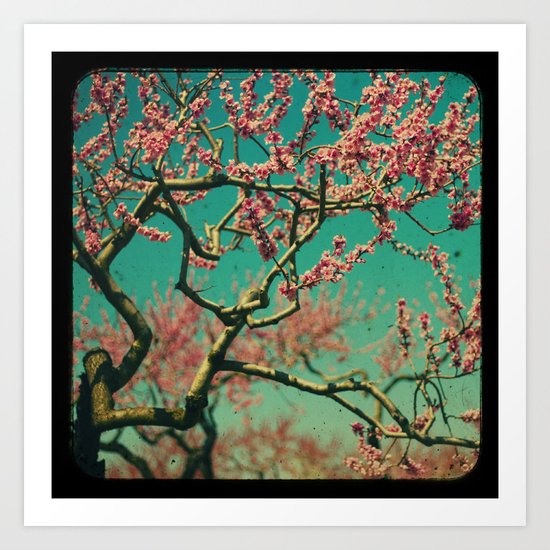 ttv Cherry tree Art Print
