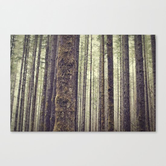 Forest Canvas Print