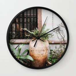 Mexico Photography - Small Garden With Plants By The Wall Wall Clock