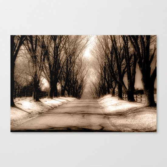 Country Lane Canvas Print