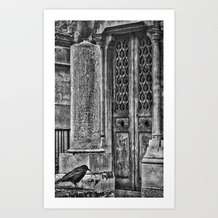 Lone Mourner Art Print