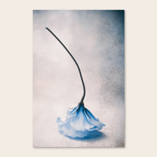 Dance Canvas Print