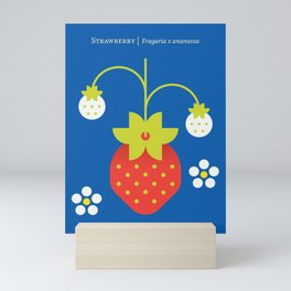 Fruit: Strawberry Mini Art Print