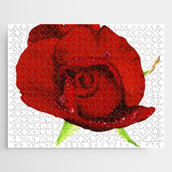 crimson rose Jigsaw Puzzle