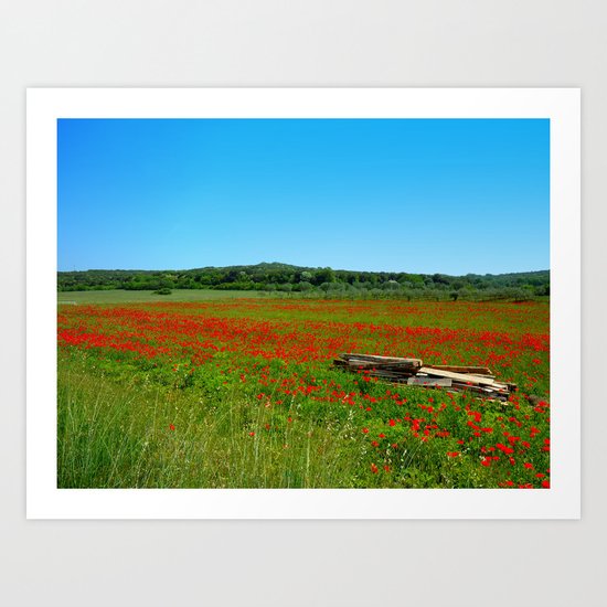 papaveri Art Print