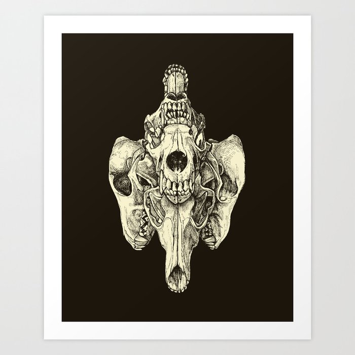 Coyote Skulls - Black and White Art Print