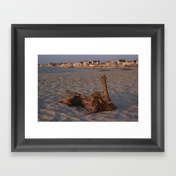 Green Harbor Beach Driftwood in Marshfield Massachusetts Framed Art Print