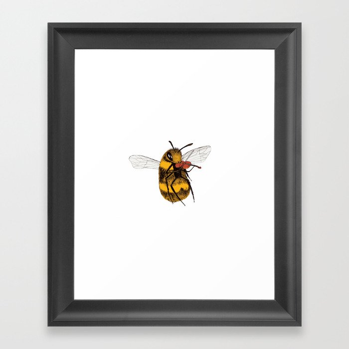 Bee tries Violin Framed Art Print