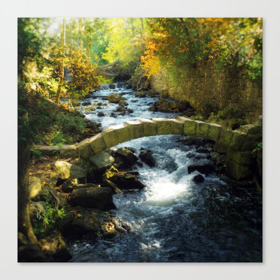 Wisdom Canvas Print