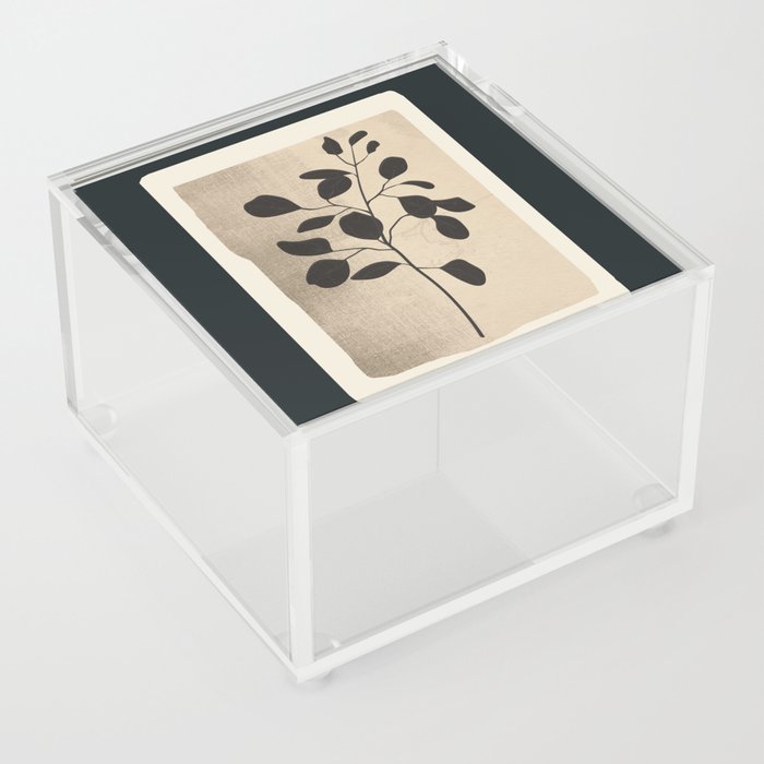 Modern Minimal Branch 2 Acrylic Box