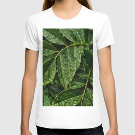 Layers Of Wet Green Leaves Water Droplets On Plant Leaves T-shirt