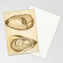 Oyster from "The Oyster: A Popular Summary of a Scientific Study," 1891 (benefitting the Billion Oyster Project) Stationery Card