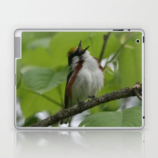 Chestnut-sided Warbler Laptop & iPad Skin