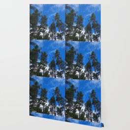 Tree line in a blue sky Wallpaper