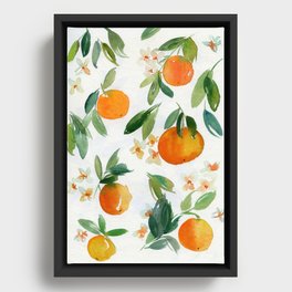 mandarins Framed Canvas