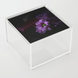 Pink flowers in the dark Acrylic Box