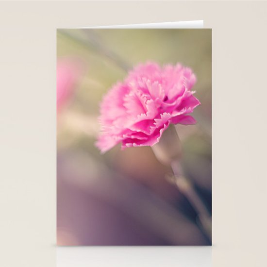 Pink Stationery Cards