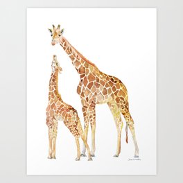 Mother and Baby Giraffes Art Print