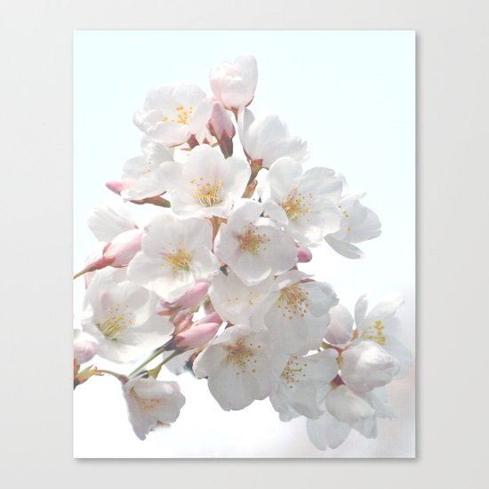 SPRING CHERRY BLOSSOM Canvas Print