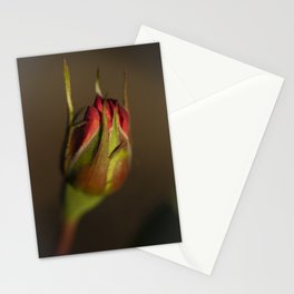 Rose - Rosa - Rosae Stationery Cards