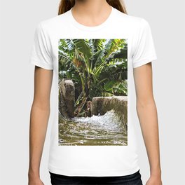 Archaic Water Irrigation Channel Oasis, Oman T Shirt