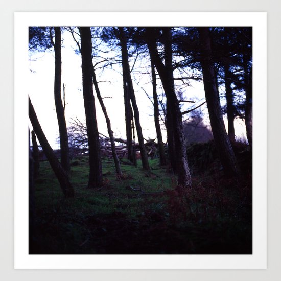 The Grandfather's Wood Art Print