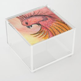Rising Fire Acrylic Box