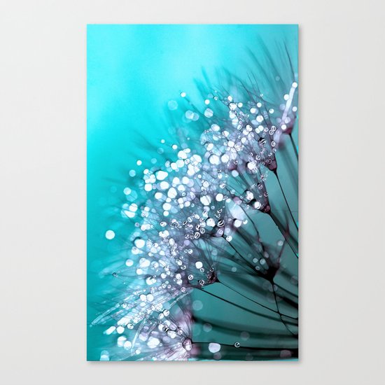 Morning Glory Canvas Print